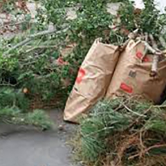 Yard Waste